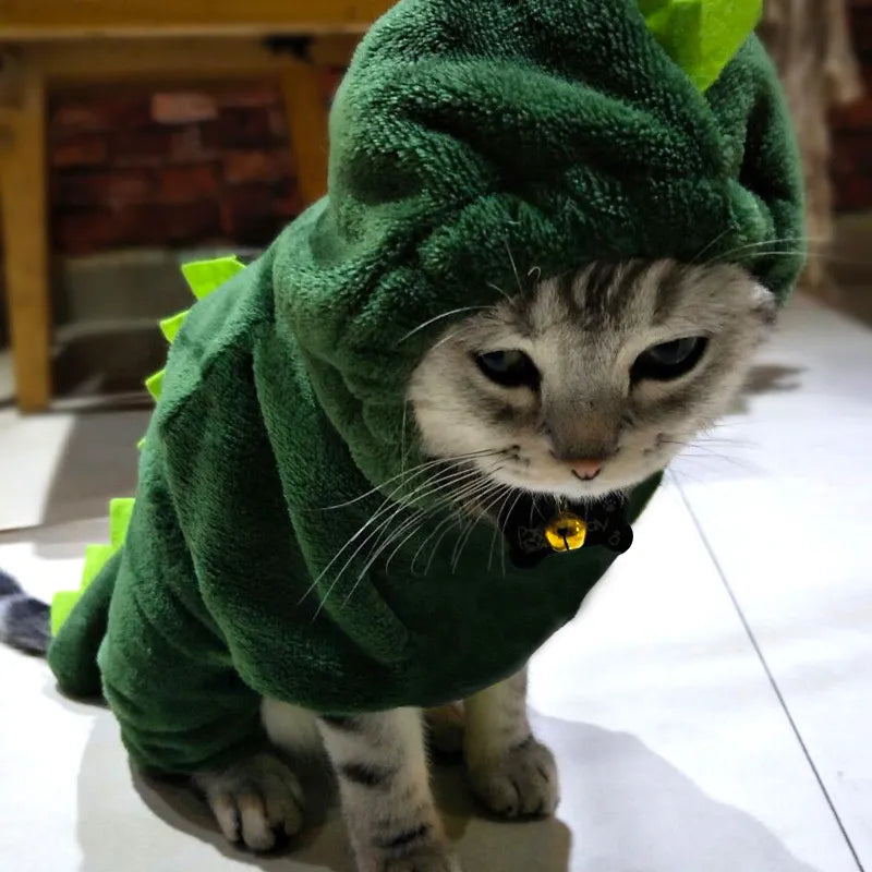 Dinosaur Costume Dog