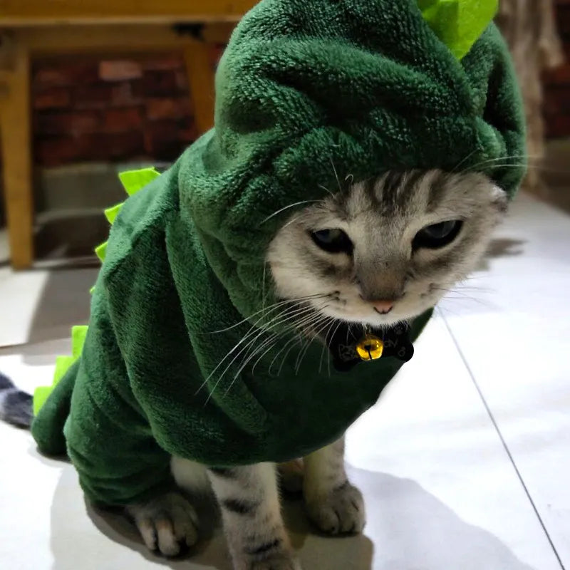 Dinosaur Costume Dog, photo 7