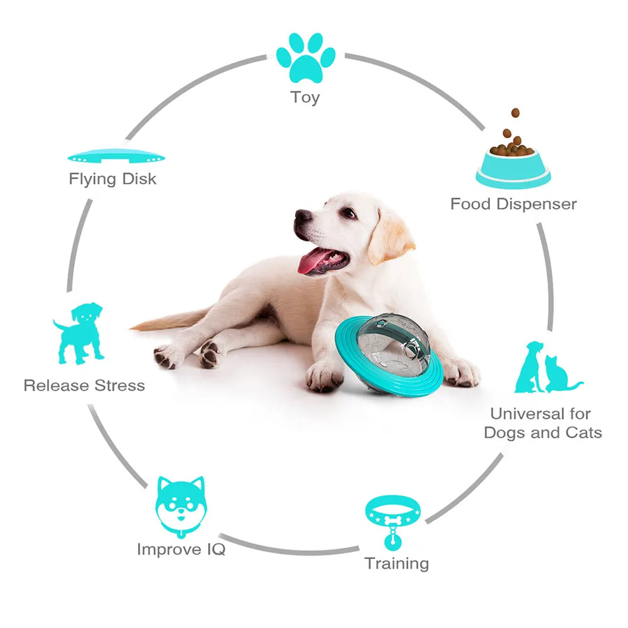 Training Toy: Use this toy to train your dog and teach them new tricks.