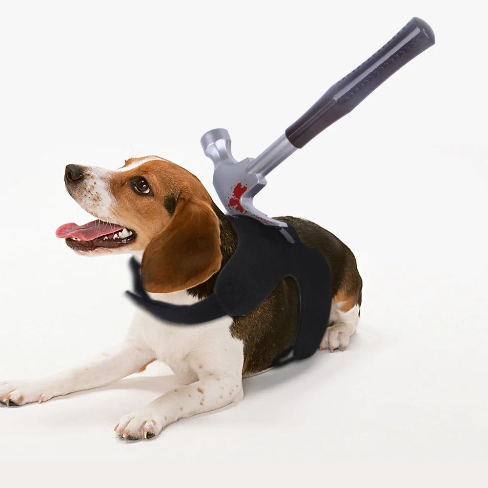 Funny Dog Halloween Costumes in Hammer
