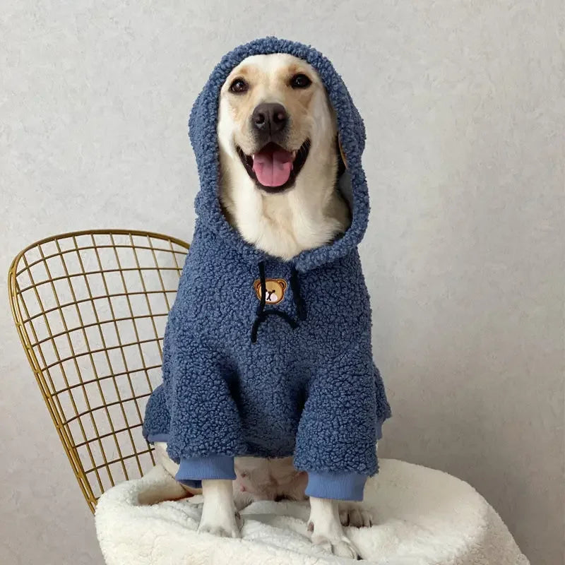 Large Dog Hoodie in Blue