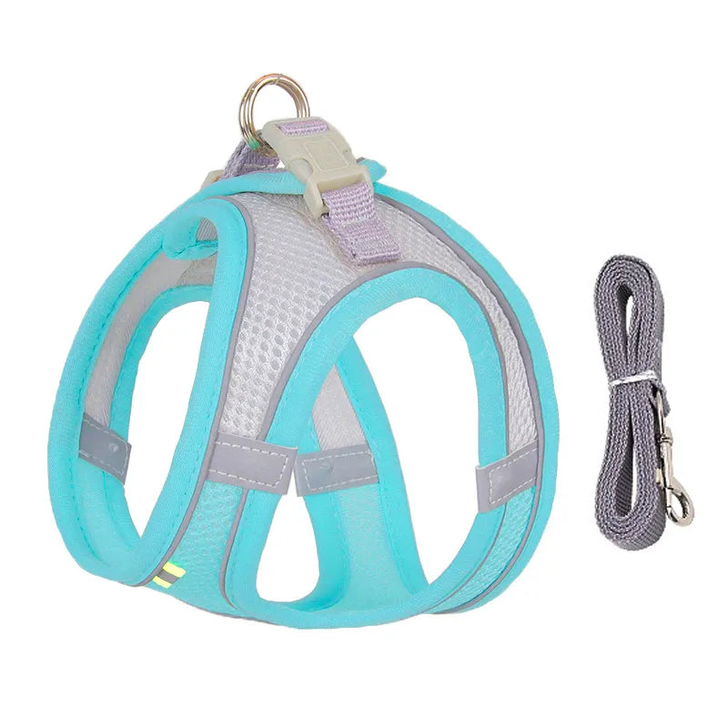 Comfort Harness For Small Dogs in Blue