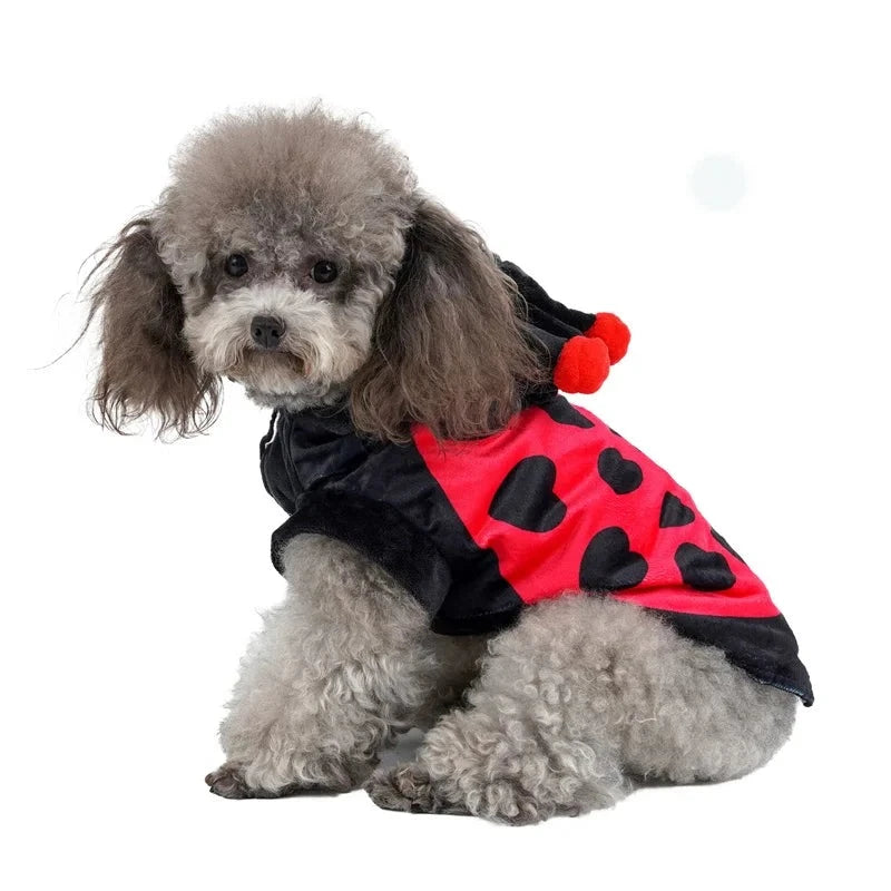Ladybug Dog Costume