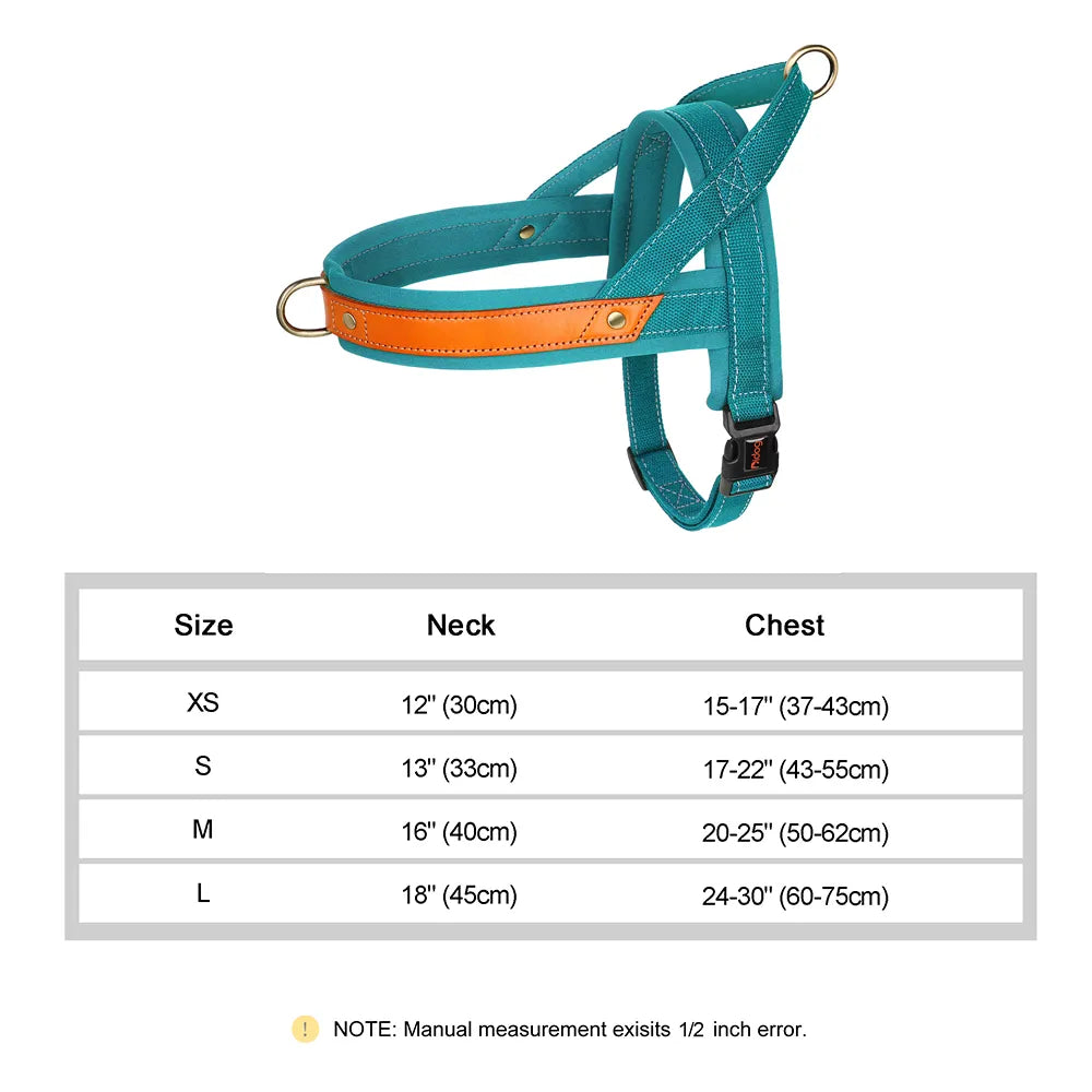 No Pull Dog Harness in Duck Blue