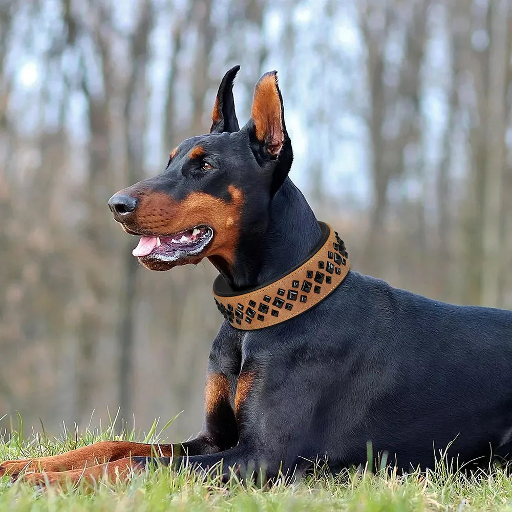 Leather Collar For Medium & Big Dog
