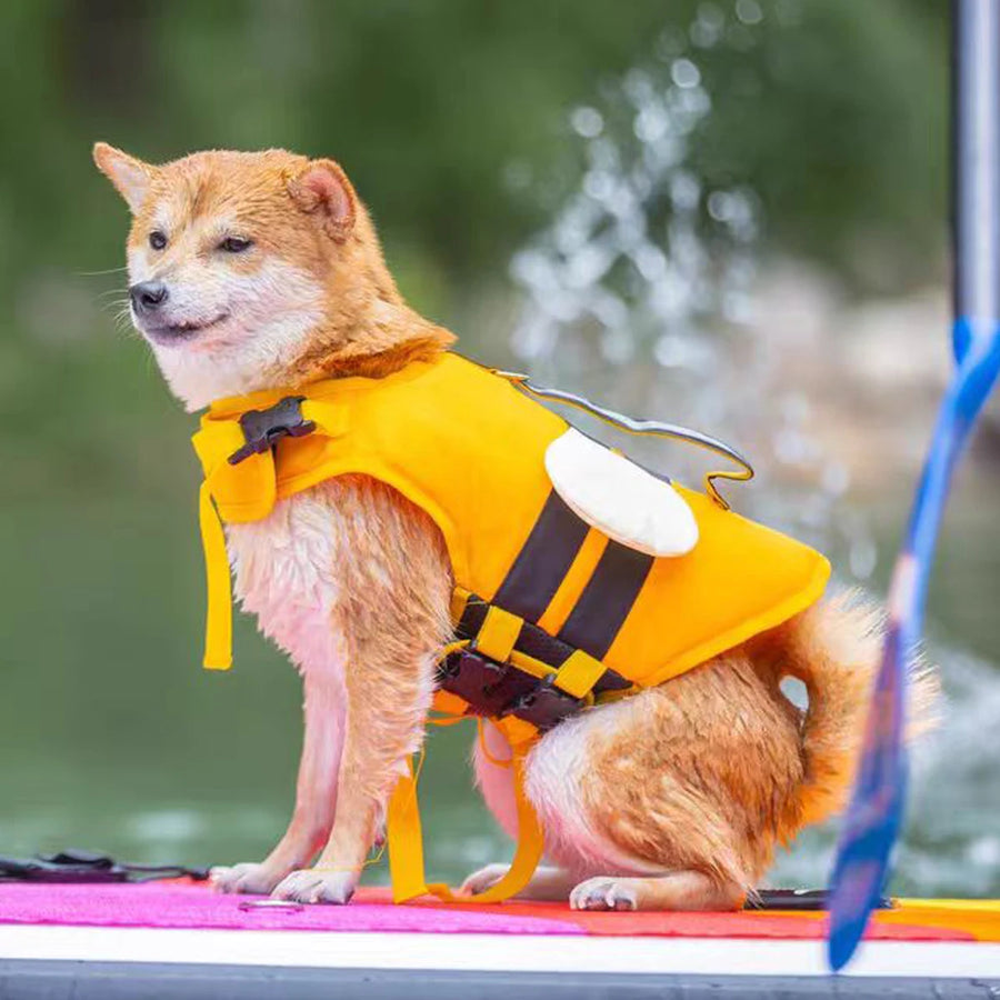 Adjustable fit for all dog sizes and breeds