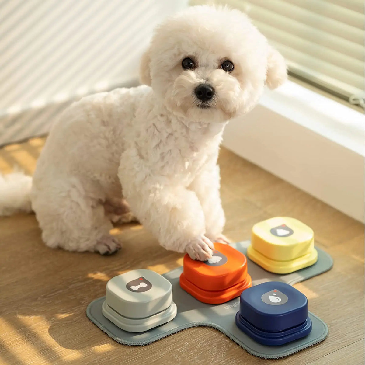 Buttons For Dogs To Talk