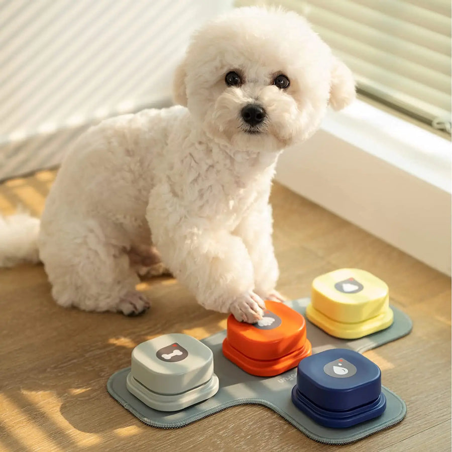 Record and playback messages or commands to effectively train and communicate with your dog.