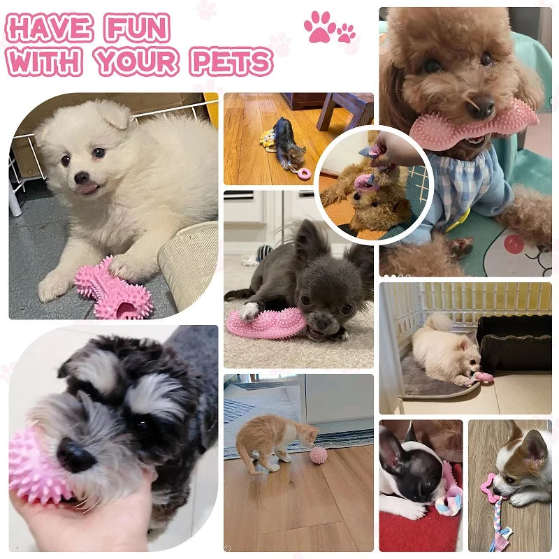 Package includes 1 pet toy