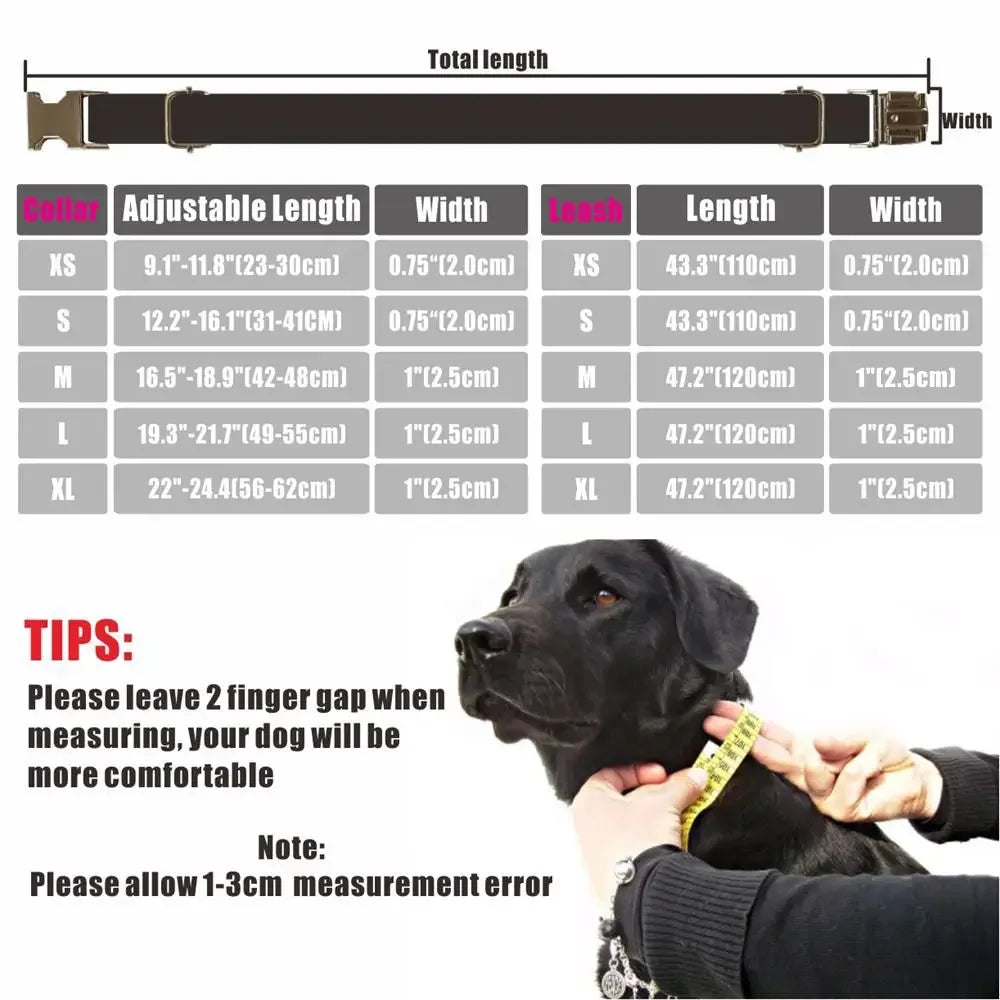 Personalized Beige Dog Collar & Leash, photo 5