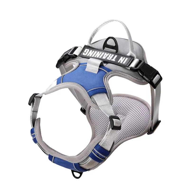Personalized Dog Harness No Pull in Blue Gray