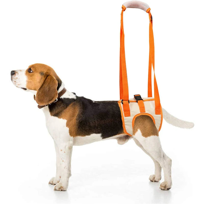 Sling For Dogs Back Legs
