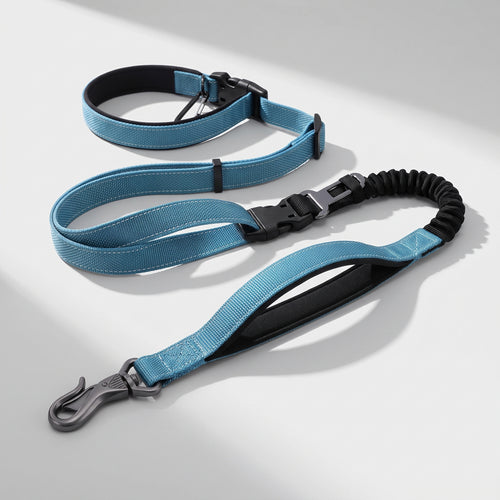 Adjustable Dog Leash, studio photo on a light grey background