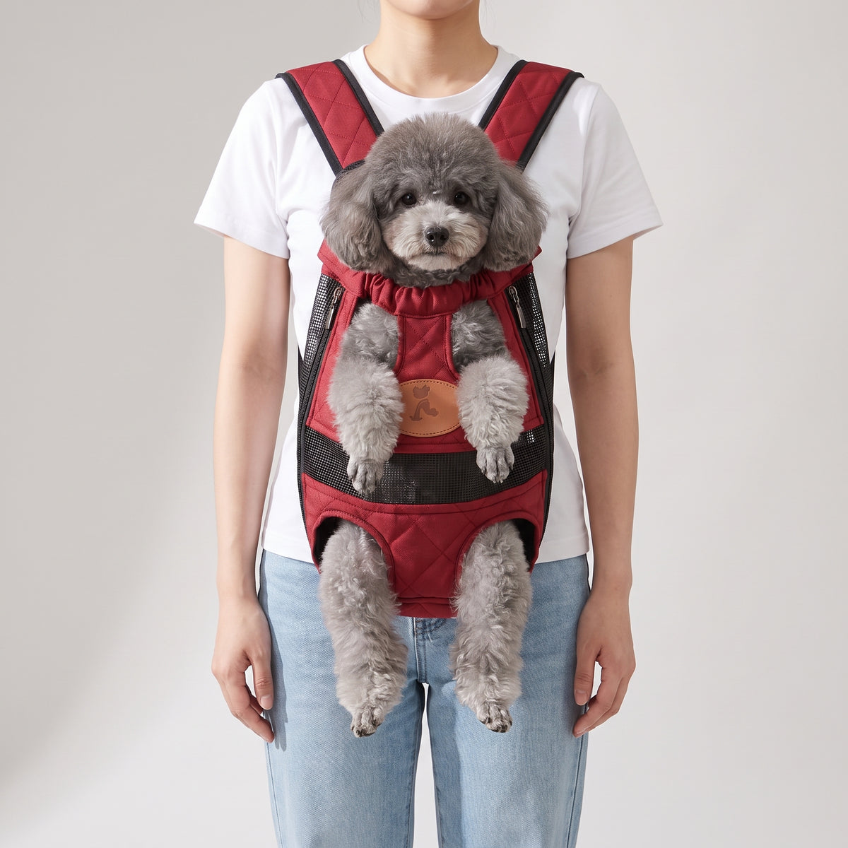Red Backpack Dog Carrier for Hiking with a grey toy poodle, studio photo