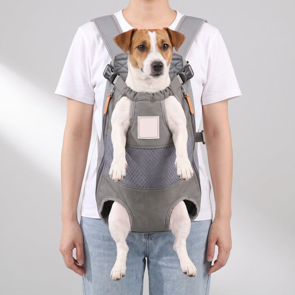 Backpack To Carry Dog with a Jack Russell Terrier, studio photo
