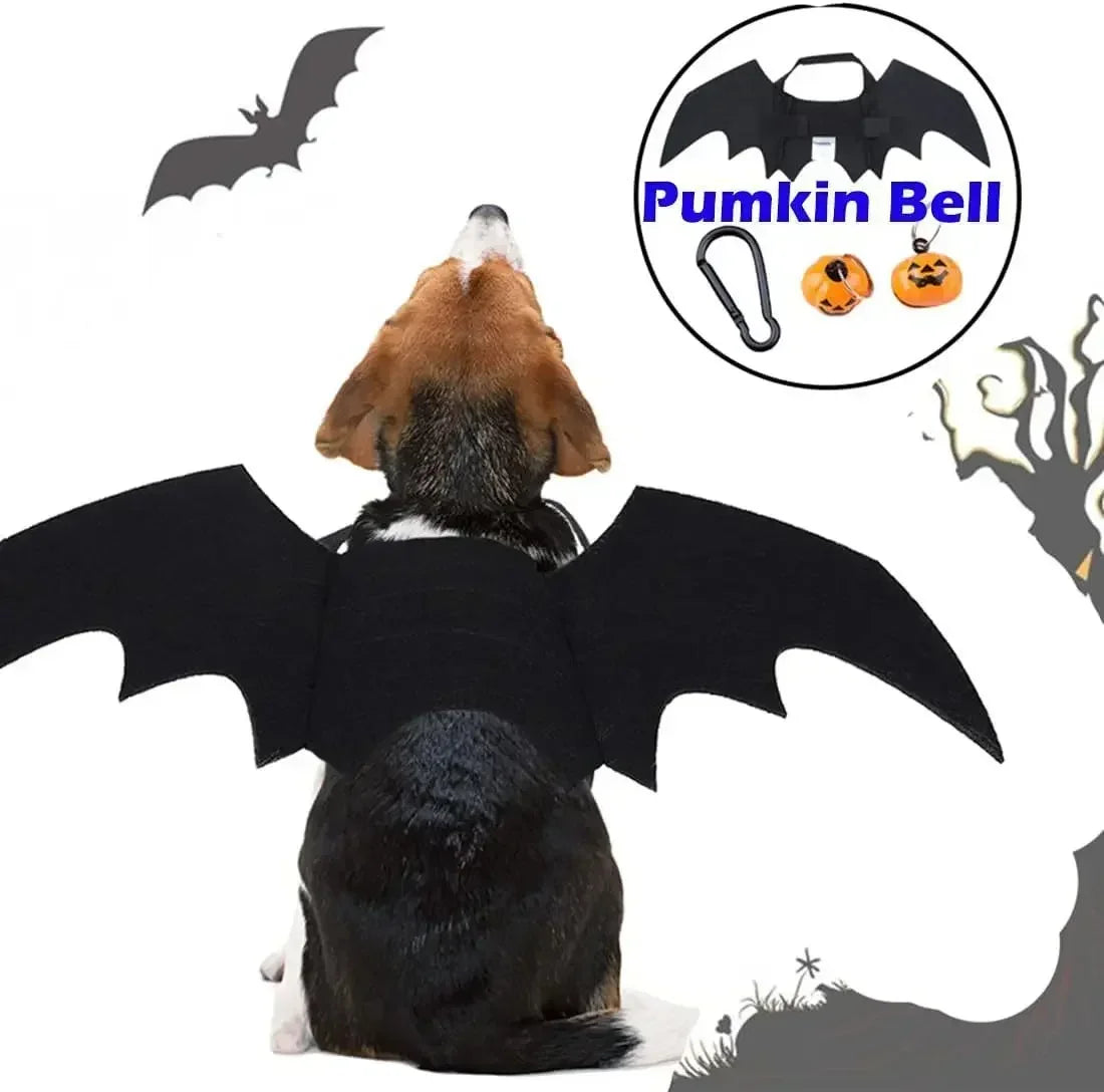 Bat Wings Dog costume