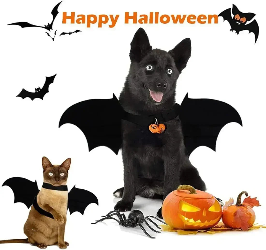 Bat Wings Dog costume