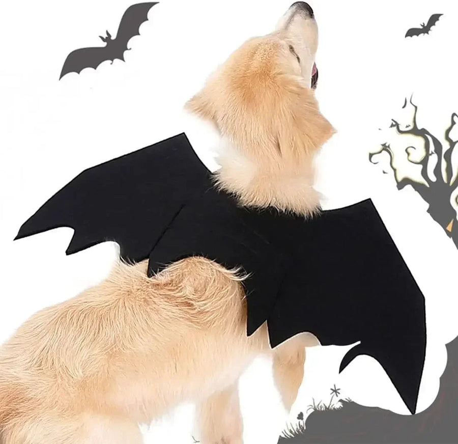 Adorable Design: With its bat wing design, this costume allows your dog to embrace their inner hero and stand out from the crowd.