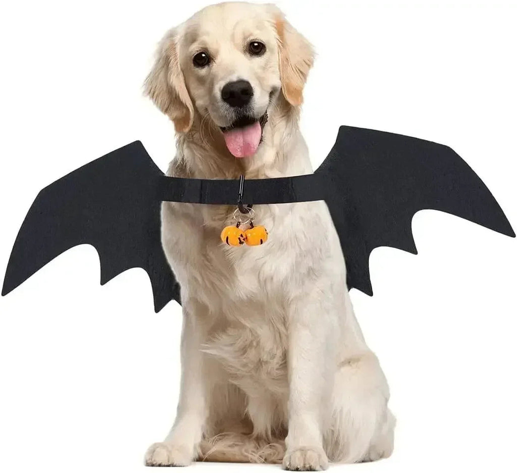 Bat Wings Dog Costume