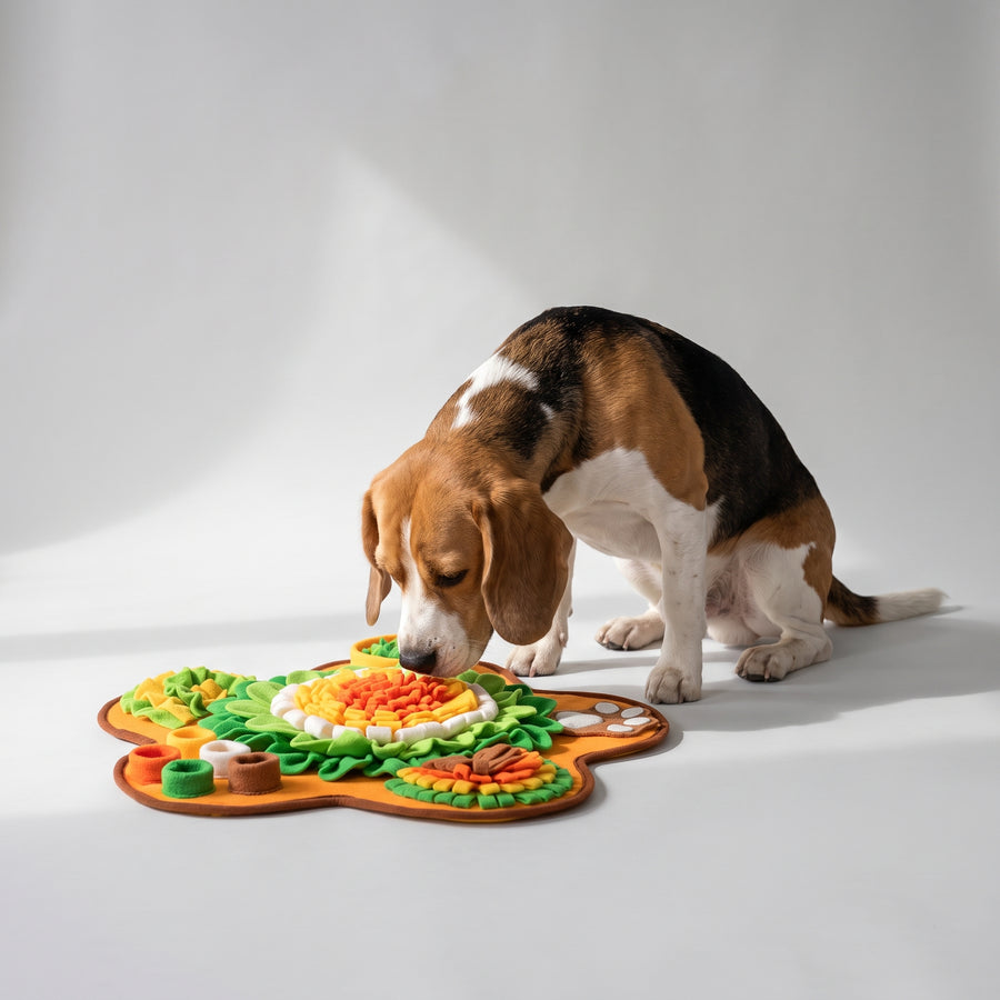 Multi-functional design: The Best Snuffle Mat For Dogs is designed to serve multiple purposes, making it a versatile addition to your dog's toy collection.