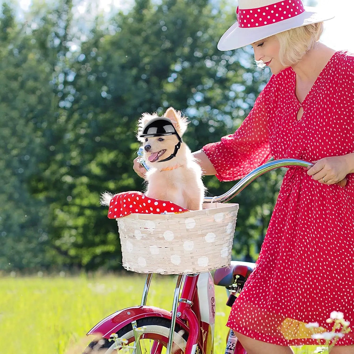 Biker Dog Helmet
