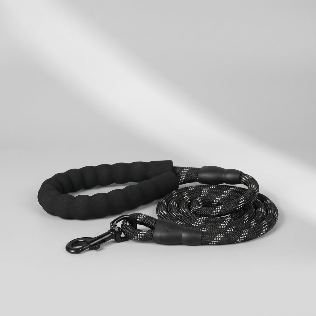 Black Dog Leash, studio photo on a light grey background