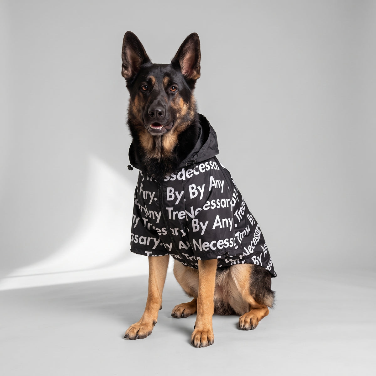 Black Dog Raincoat with a German Shepherd, studio photo