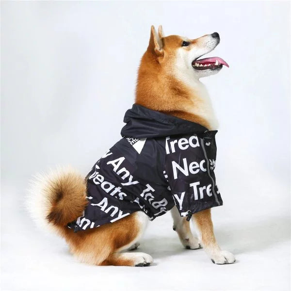 Black Dog Raincoat