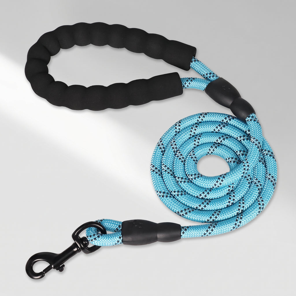 Blue Dog Leash, studio photo on a light grey background