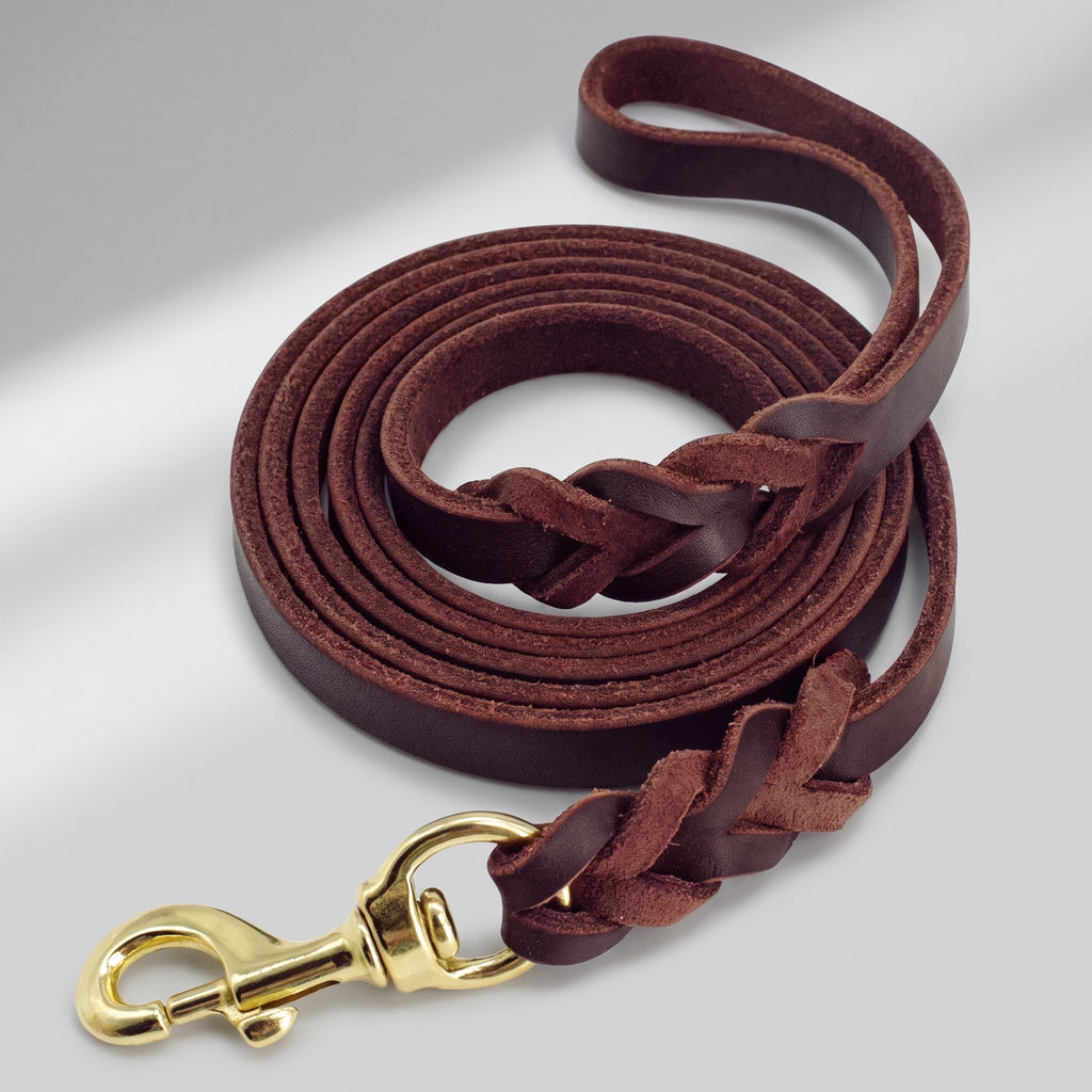 Braided Leather Dog Leash, studio photo on a light grey background
