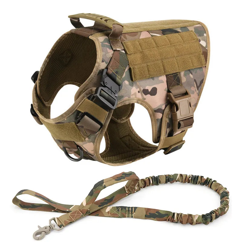 Camouflage Dog Harness in CP harness & leash