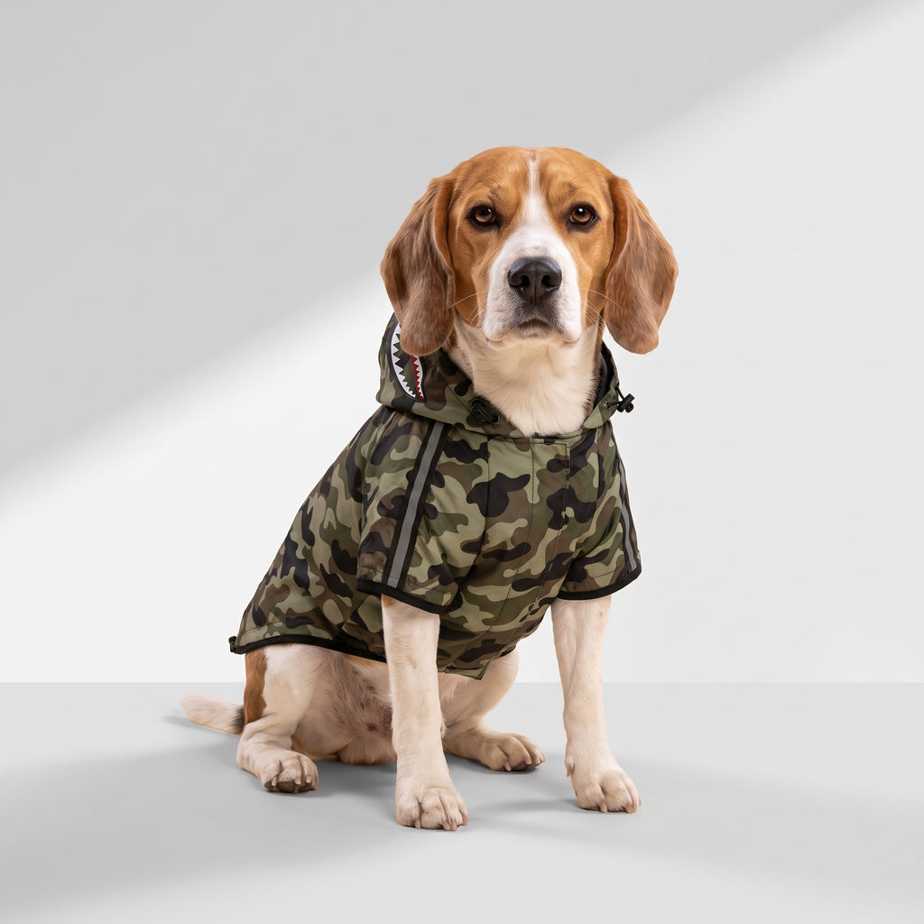 Camouflage Dog Raincoat with Mesh Lining with a beagle, studio photo