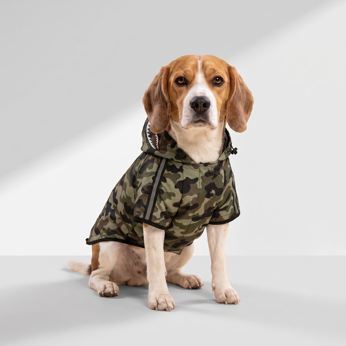 Camouflage Dog Raincoat with Mesh Lining with a beagle, studio photo