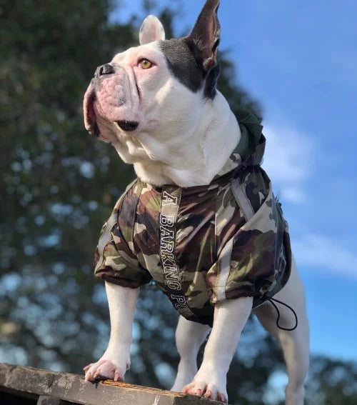 Camouflage Dog Raincoat