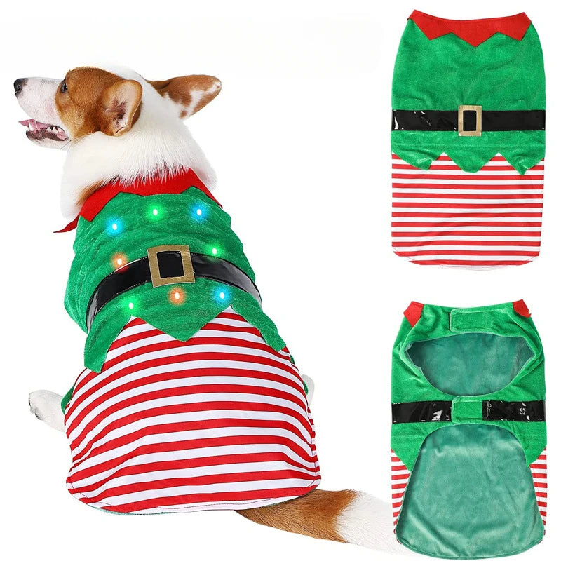Christmas Dog Elf Costume