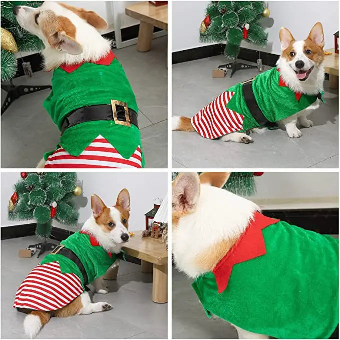 Christmas Dog Elf Costume