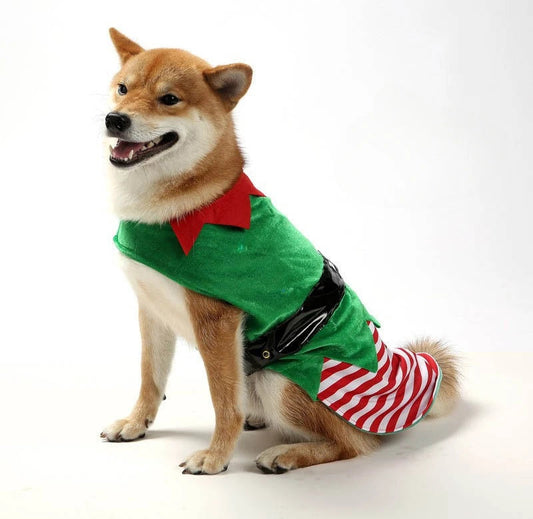 Christmas Dog Elf Costume