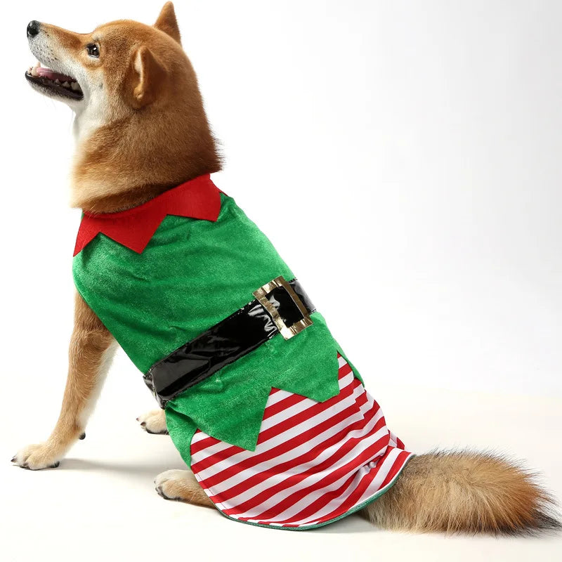 Christmas Dog Elf Costume in Standard Costume