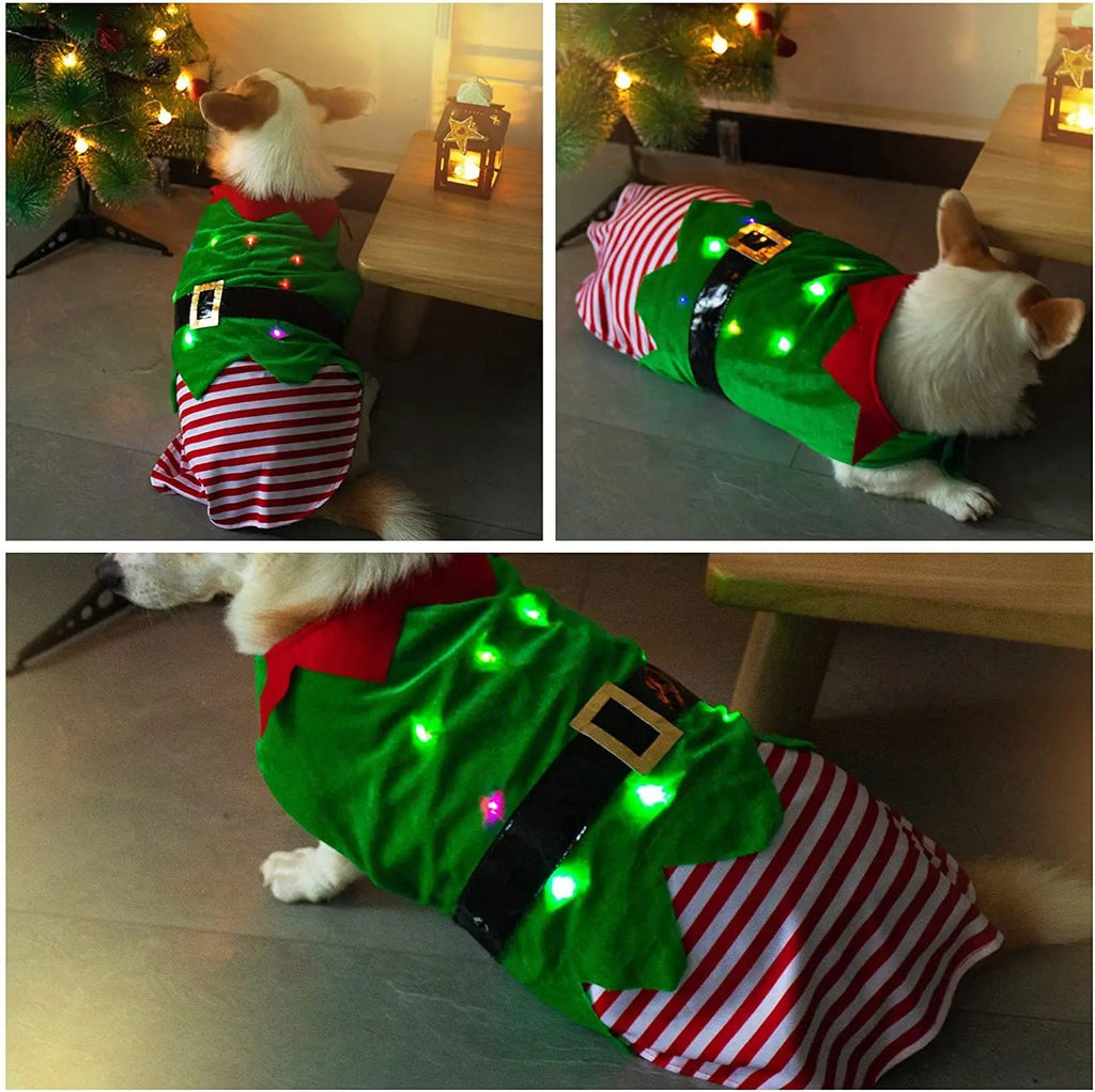 Christmas Dog Elf Costume in Costume with Light