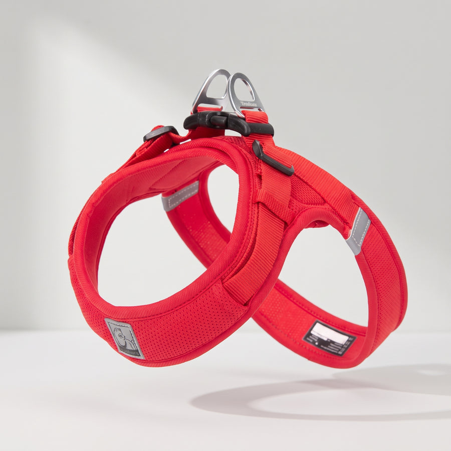 Type: Harnesses