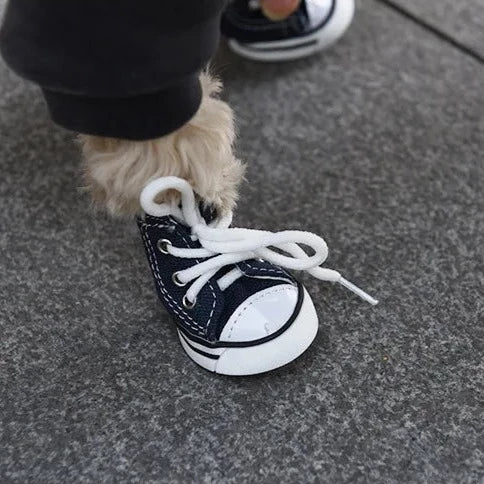 Converse Dog Shoes