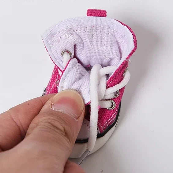 Converse Dog Shoes
