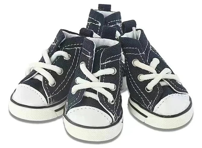 Converse Dog Shoes in Blue