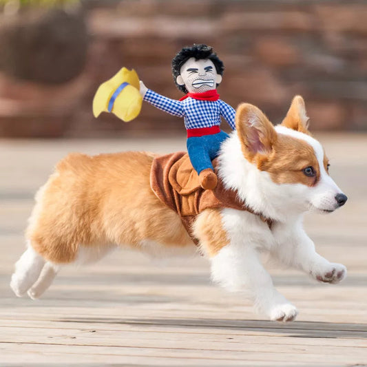 Cowboy Rider Dog Costume