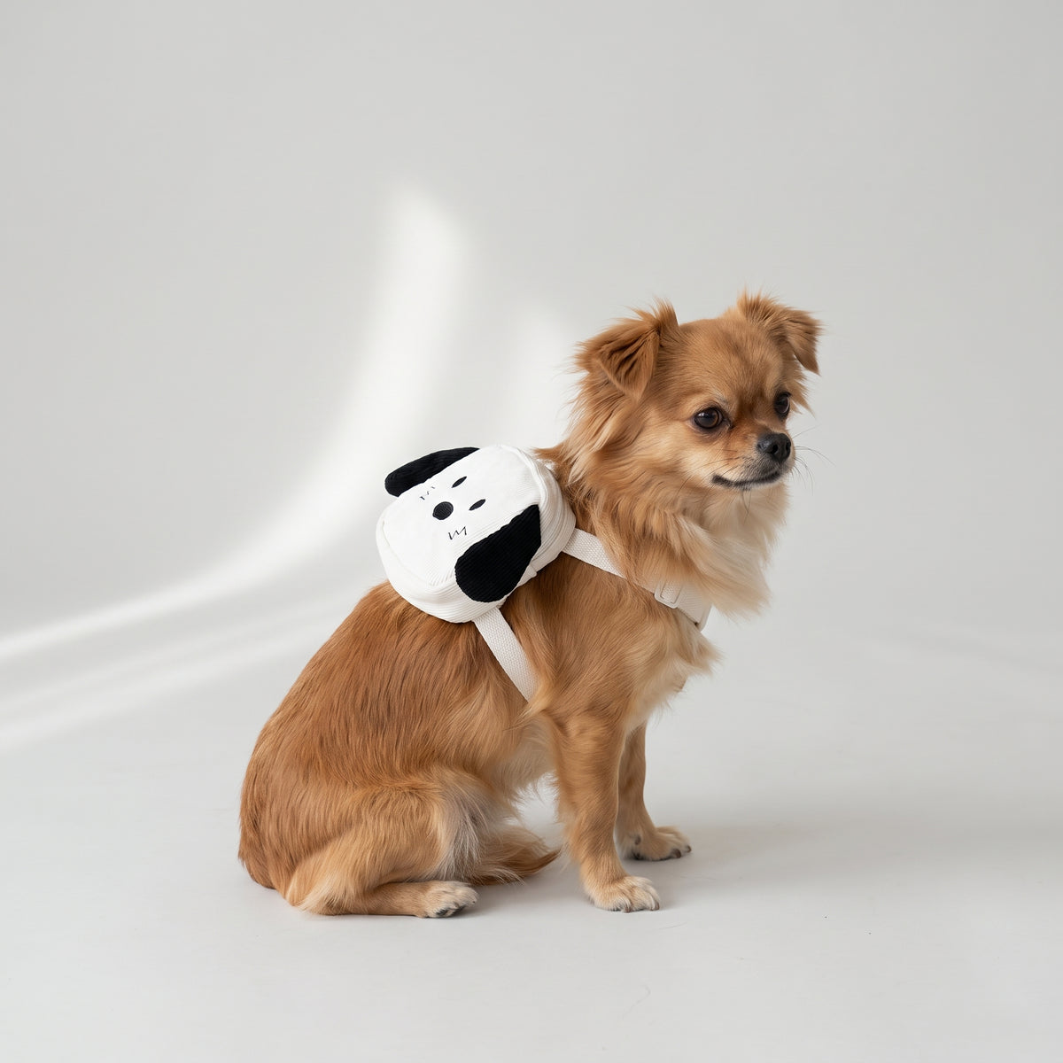Cute Backpack For Small Dogs with a chihuahua, studio photo