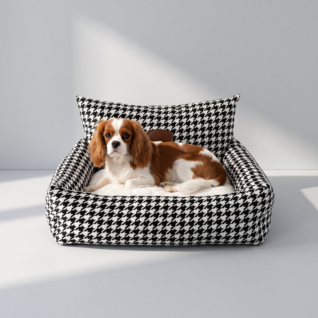 Cute Dog Beds with a Cavalier King Charles, studio photo