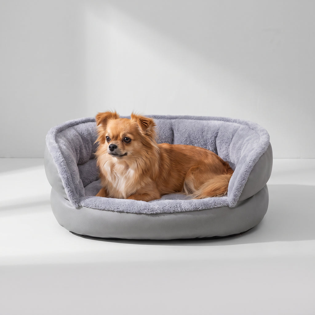 Cute Small Dog Beds with a chihuahua, studio photo