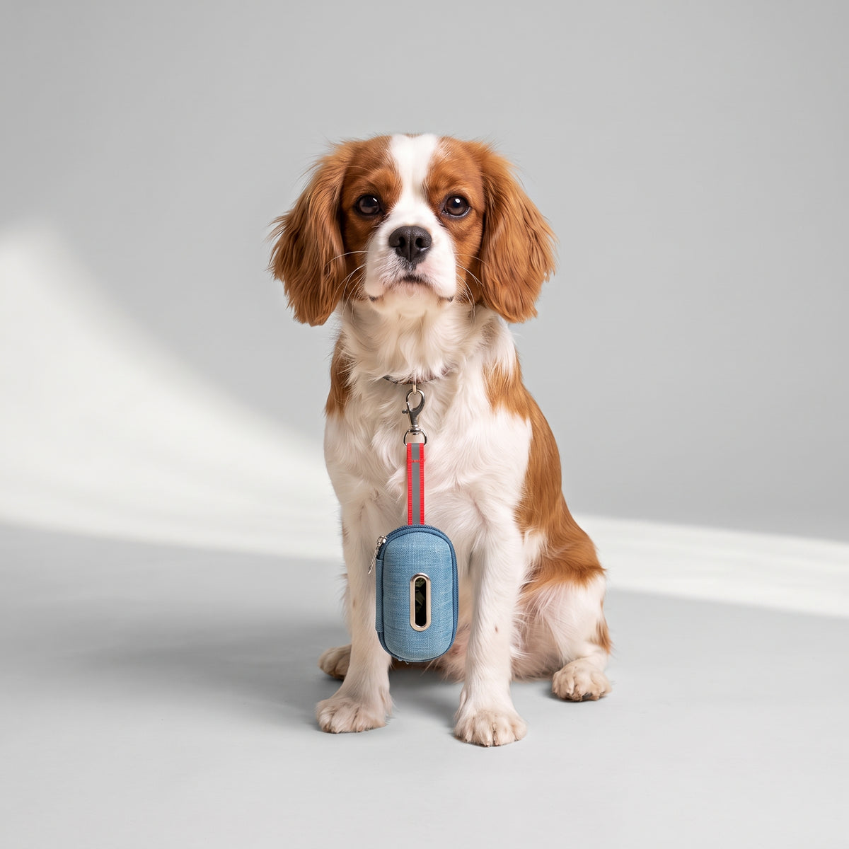 PVC Dispenser for Dog Poop Bags with a Cavalier King Charles, studio photo