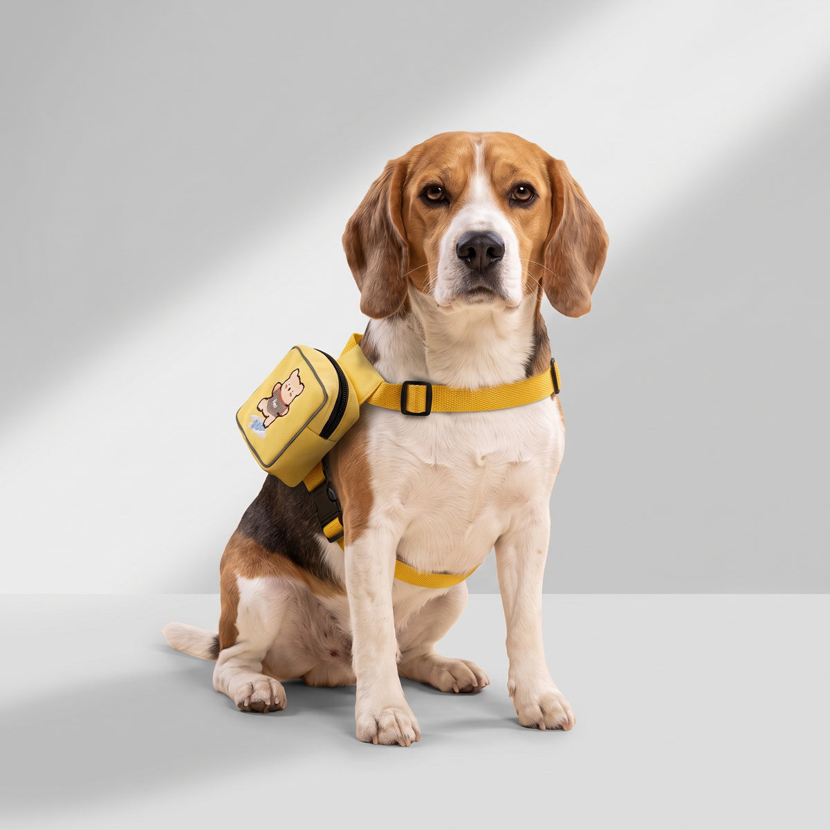 Dog Backpack Harness with Poop Bag Holder with a beagle, studio photo