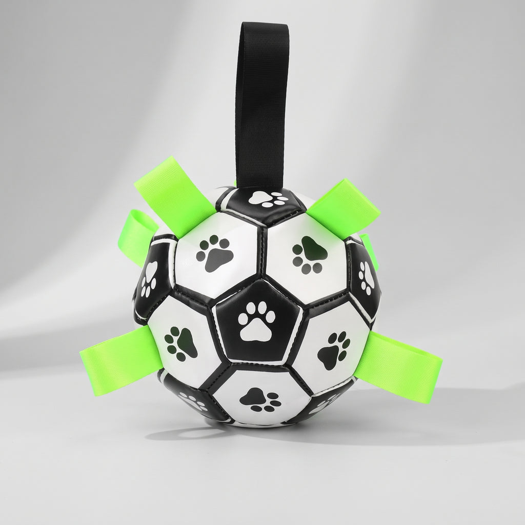 Dog Ball, studio photo on a light grey background